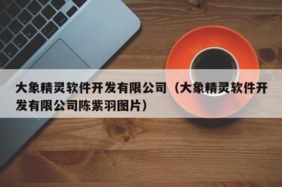大象精靈軟件開發(fā) 廈門軟件開發(fā)領(lǐng)域的創(chuàng)新與探索