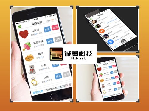 廈門市即時聊天社交App開發 打造跨平臺安卓、蘋果應用與后端系統