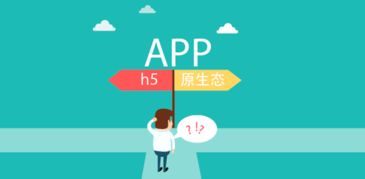 新疆熵客云 專屬定制的網頁設計、App開發與烏魯木齊網站建設推廣專家